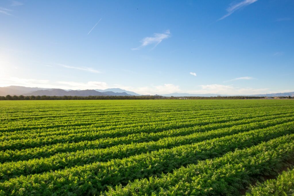 astuces pour construire sur terrain agricole