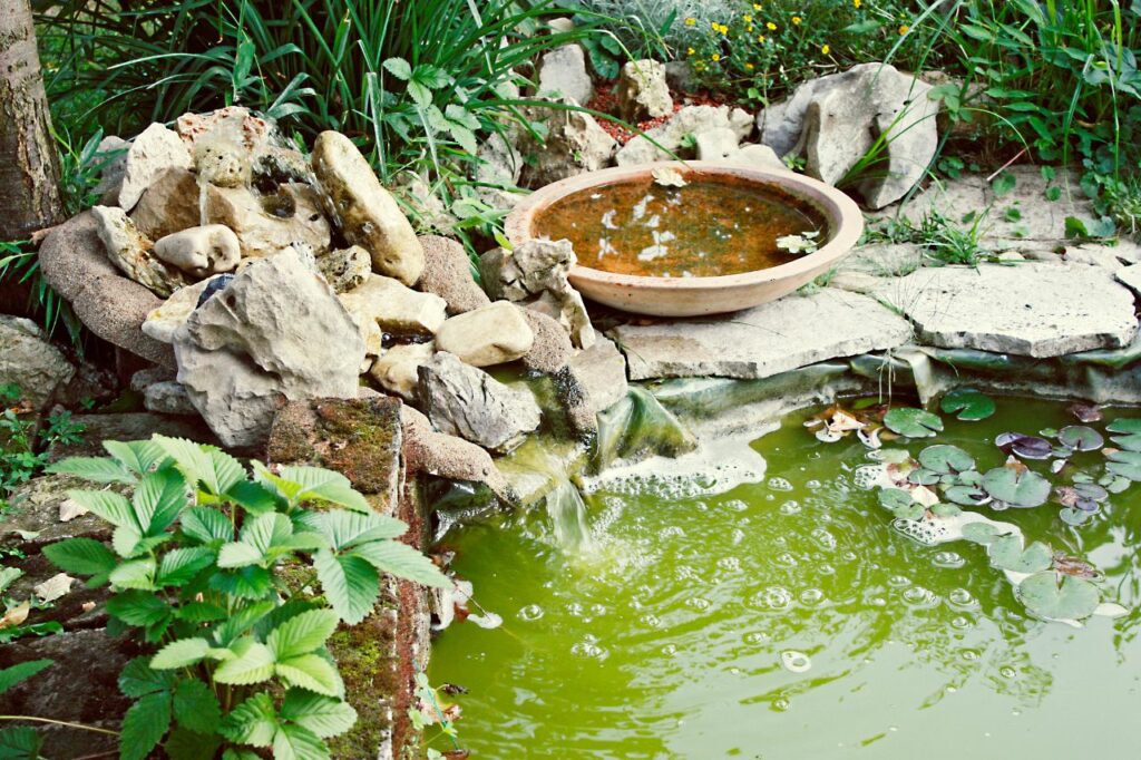 Comment construire un petit bassin de jardin avec cascade ?
