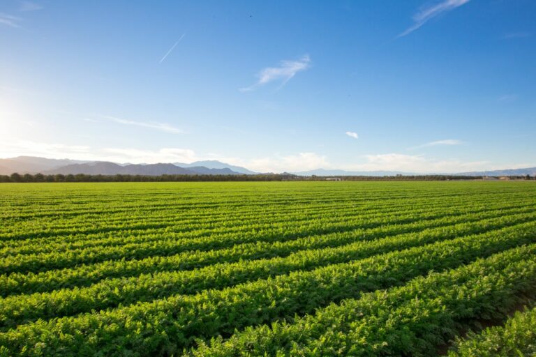 astuces pour construire sur terrain agricole