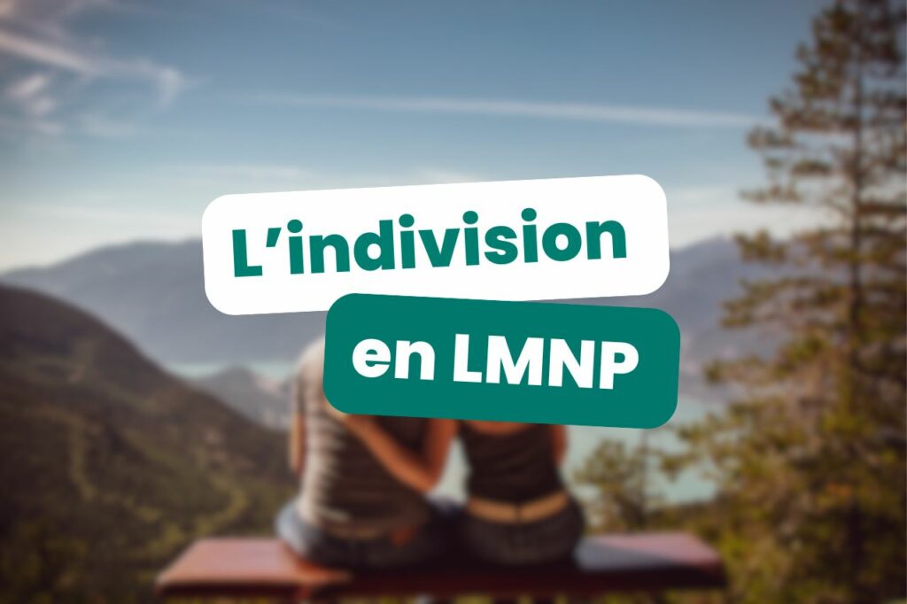 l'indivision en LMNP